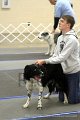IMG_1101