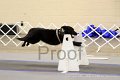IMG_1118