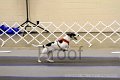 IMG_1125