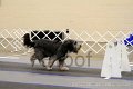 IMG_1128