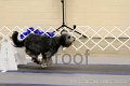 IMG_1131