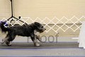 IMG_1132