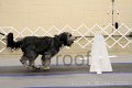 IMG_1133