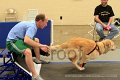 IMG_1140