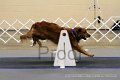 IMG_1150