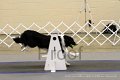 IMG_1158