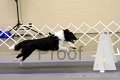 IMG_1171