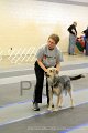 IMG_1185