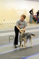 IMG_1186