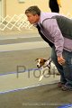 IMG_1191