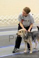 IMG_1195