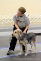 IMG_1196