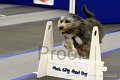 IMG_1206