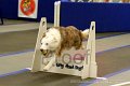 IMG_1228