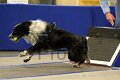 IMG_1242