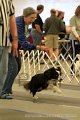IMG_1248