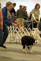 IMG_1249