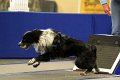 IMG_1251
