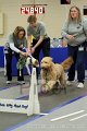 IMG_1257