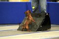 IMG_1260