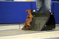 IMG_1261