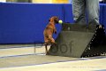 IMG_1262