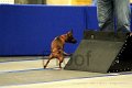 IMG_1263