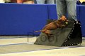 IMG_1267