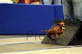 IMG_1268
