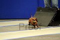 IMG_1269