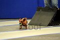 IMG_1270
