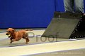 IMG_1271