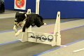 IMG_1279