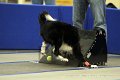 IMG_1291