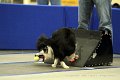 IMG_1292