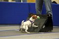 IMG_1296
