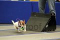IMG_1297