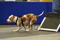 IMG_1300