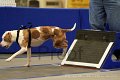 IMG_1302