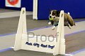 IMG_1316