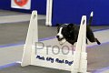 IMG_1320