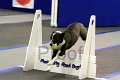 IMG_1322