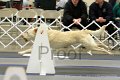 IMG_1330