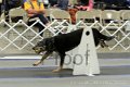 IMG_1337