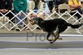 IMG_1338