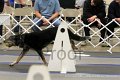 IMG_1340