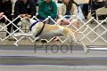 IMG_1342