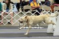 IMG_1344