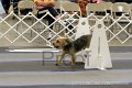 IMG_1347