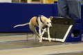 IMG_1353